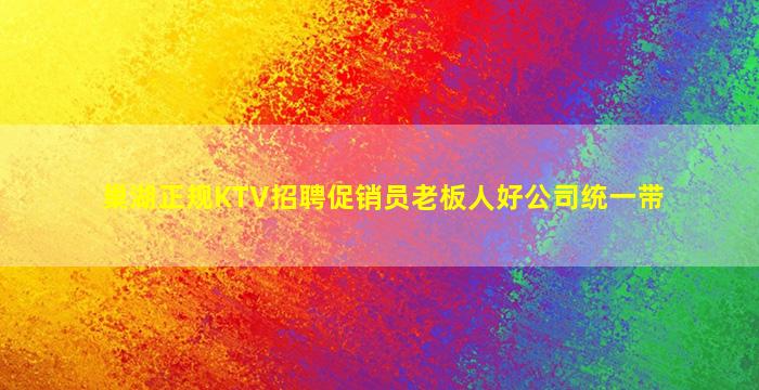 巢湖正规KTV招聘促销员老板人好公司统一带